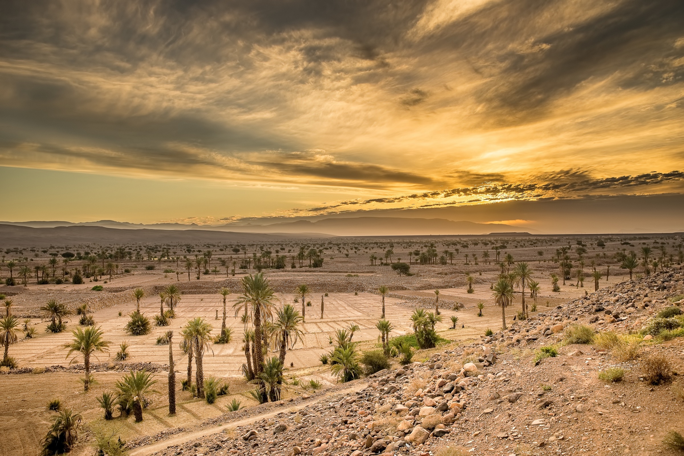 South Sudan landscape at sunset